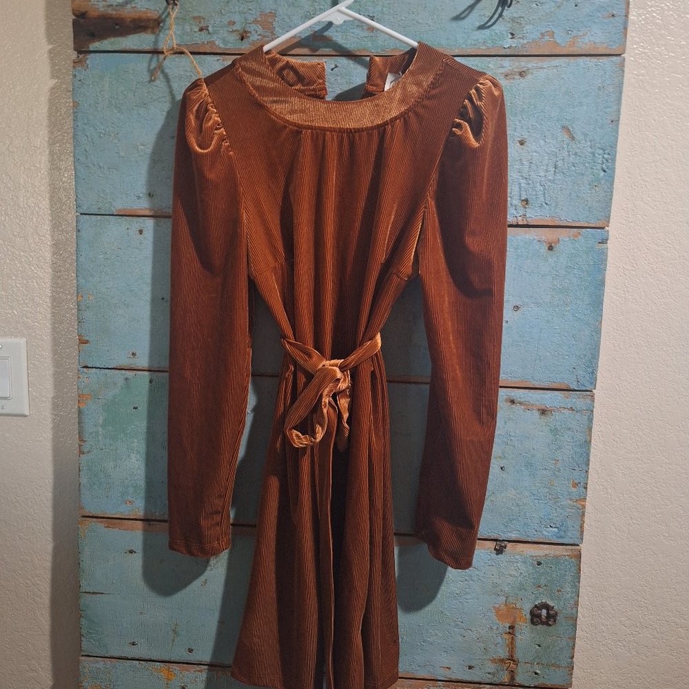 Hayden velvet mini dress